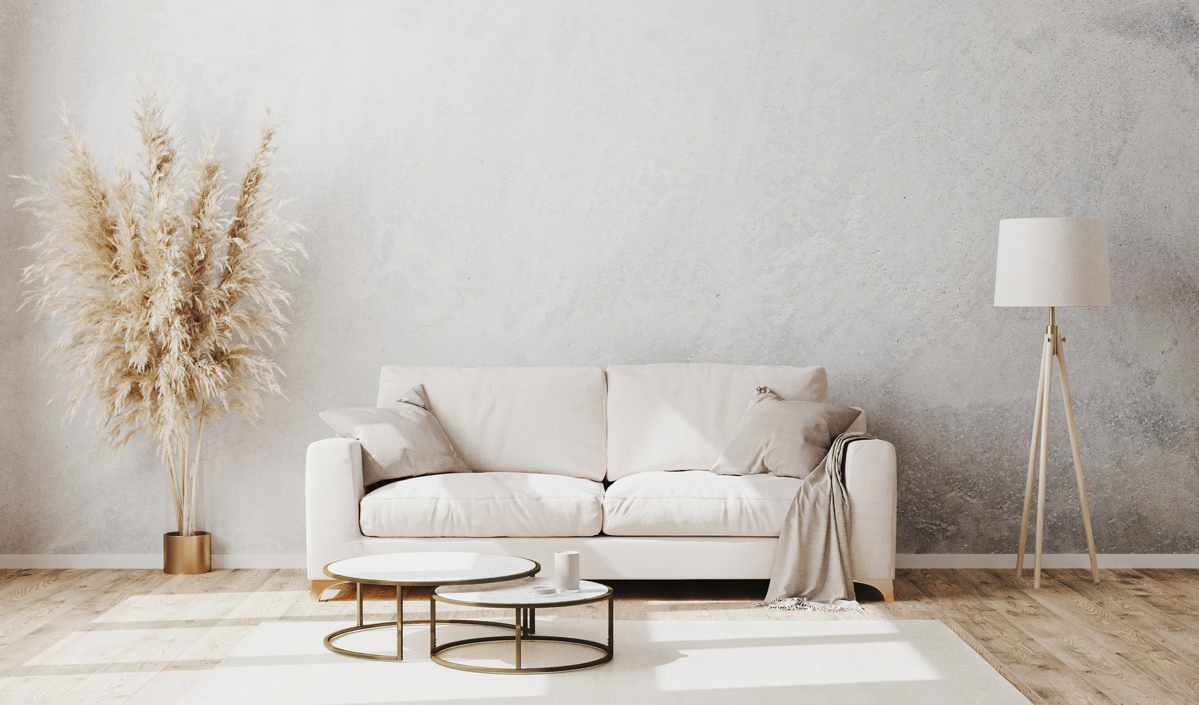 Bright Contemporary Living Room