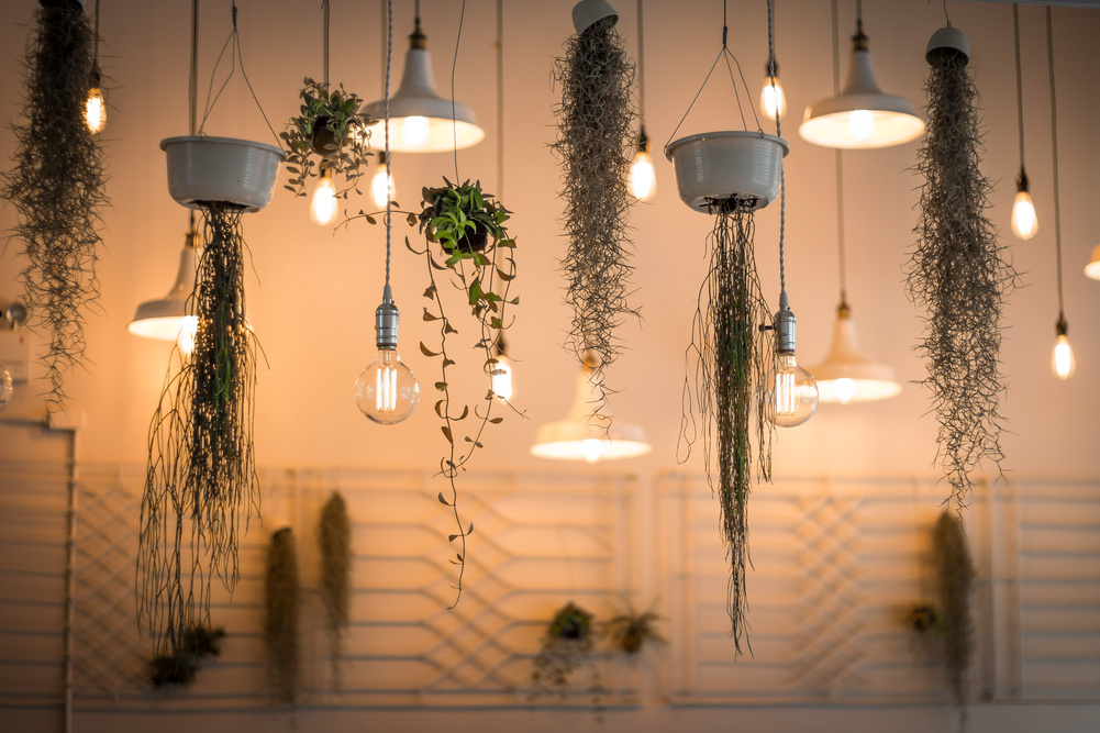 Lights Decoration Outdoors