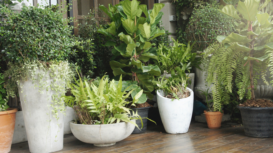Outdoor plant pots for outdoor garden, patio or terrace